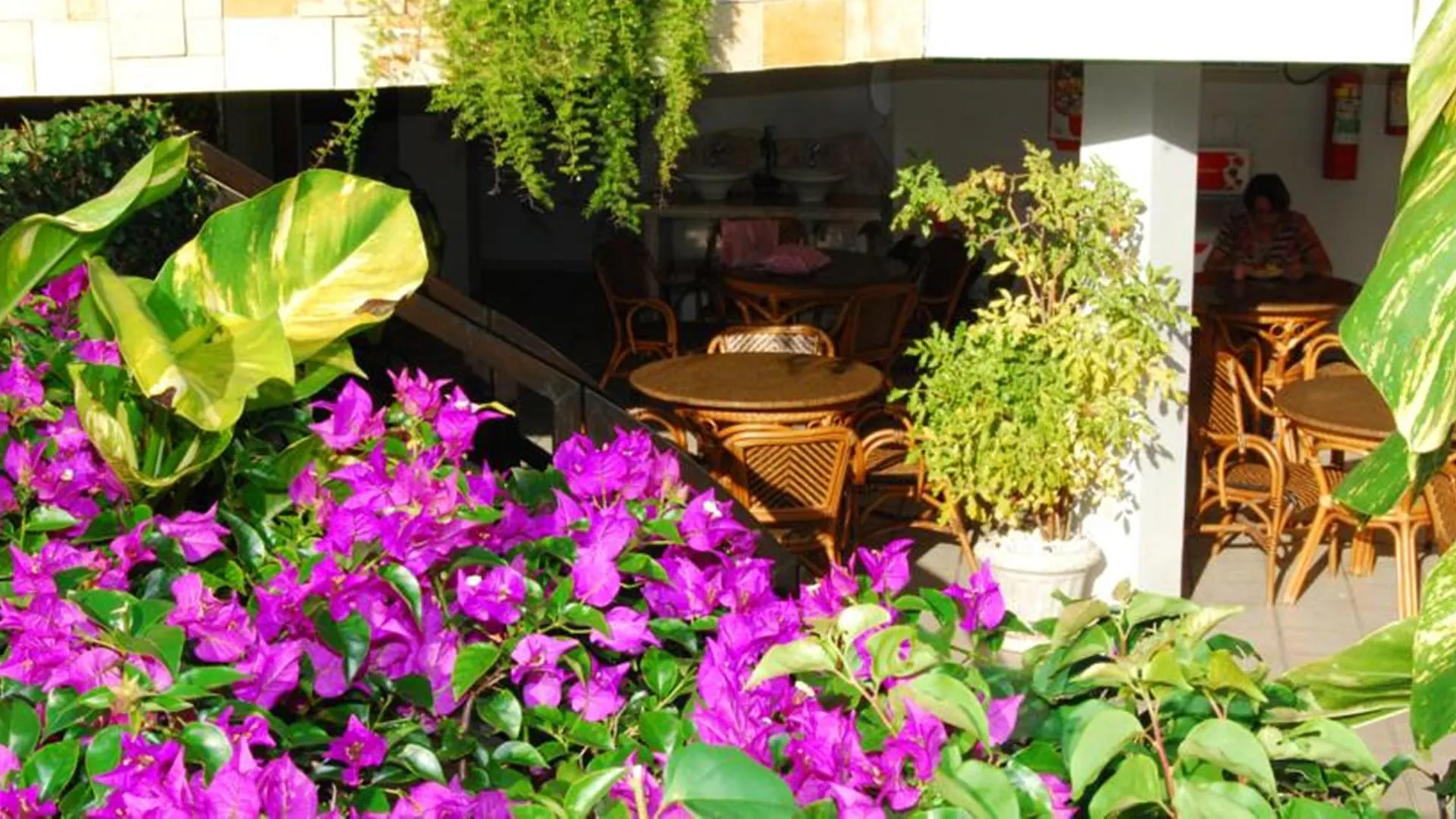 Divi-Divi Praia Hotel Natal Brasile